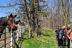 2019agmhike3