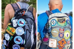 badgeslaurenvince