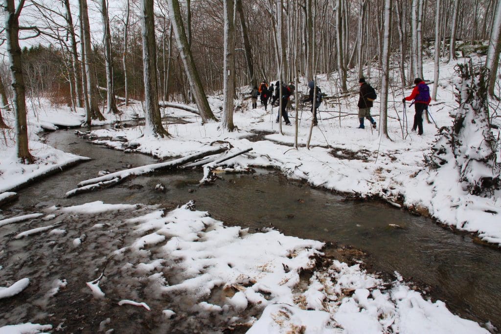 How do I get started hiking? - Niagara Bruce Trail Club