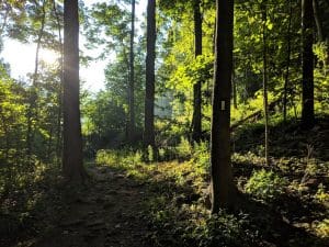 Bruce Trail