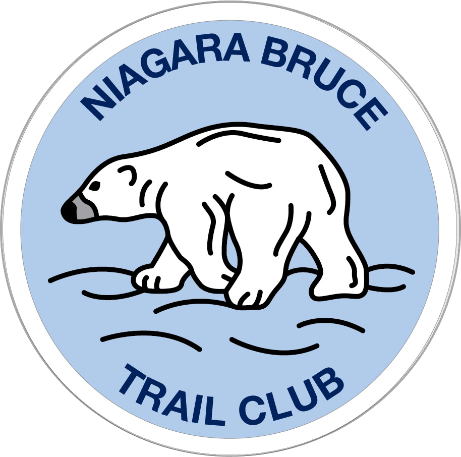 Winter badge