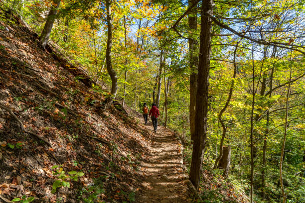 Citizen Science - Niagara Bruce Trail Club